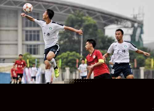 布冯：意大利国家队已经展现出了复苏和积极的迹象